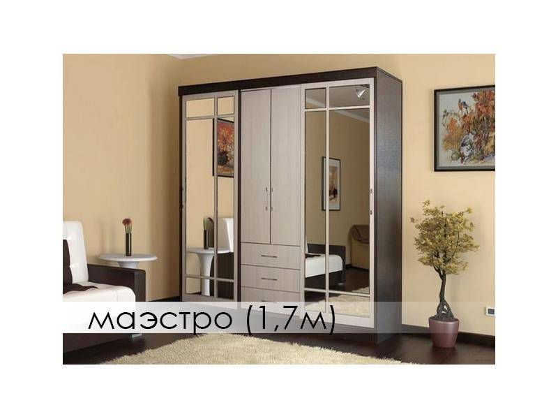 шкаф-купе маэстро в Армавире