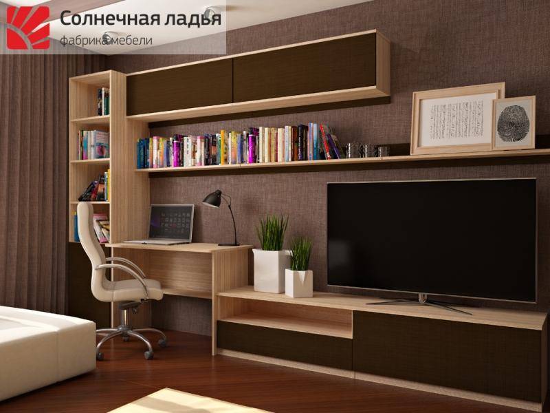 шкаф - купе для гостиной 13 в Армавире