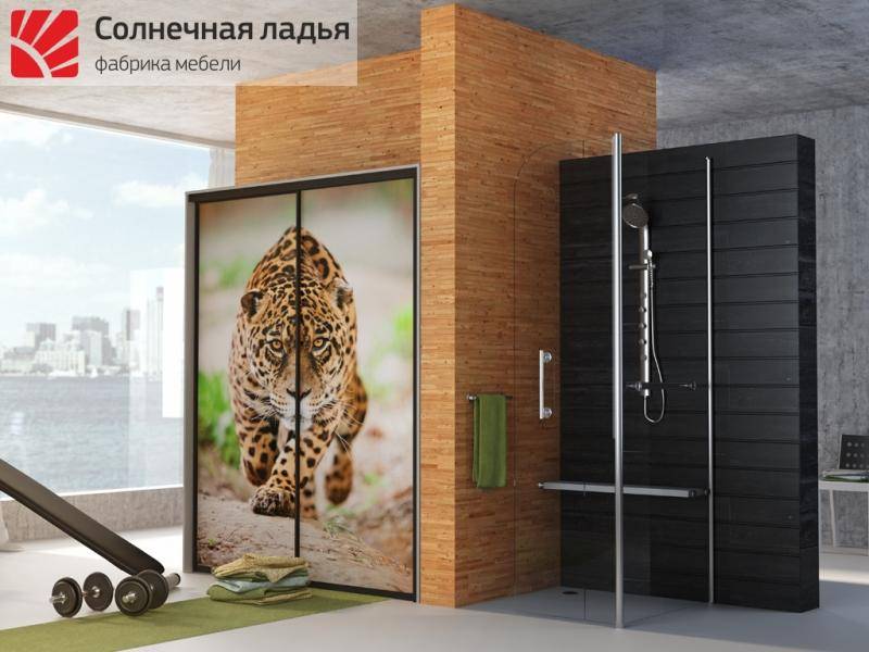 шкаф - купе фотопечать 4 в Армавире