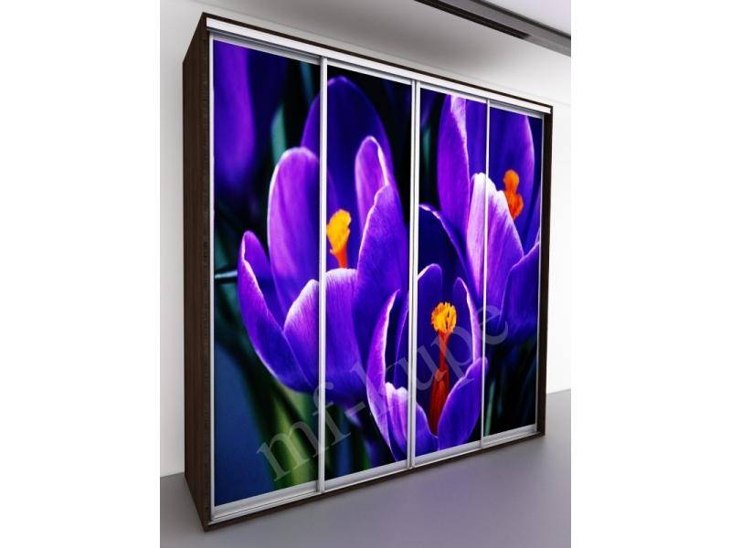 шкаф-купе бергамо violet 4 в Армавире