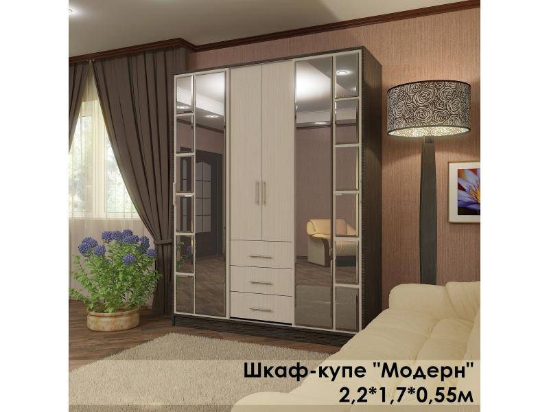шкаф-купе в стиле модерн в Армавире