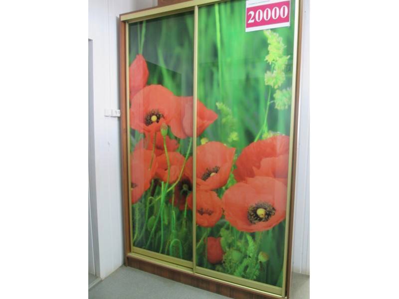 шкаф-купе 00002 в Армавире