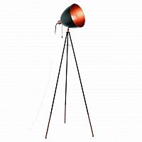 торшер eglo chester 49386 в Армавире