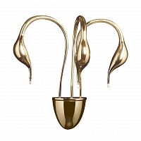 бра lightstar cigno collo 751632 в Армавире