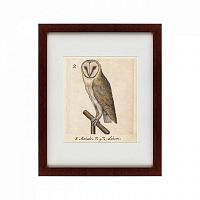 картина: one owl, 1560 в Армавире