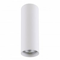 потолочный светильник lightstar rullo 214496 в Армавире