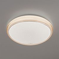 потолочный светодиодный светильник eurosvet universal 40008/1 led кофе в Армавире
