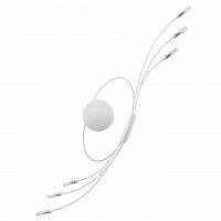 бра lightstar ovale 784666 в Армавире