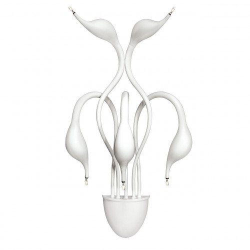 бра lightstar cigno collo wt 751656 в Армавире