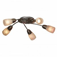 потолочная люстра lussole cevedale grlsq-6907-05 в Армавире