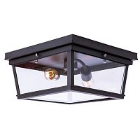 потолочный светильник loft it loft3110-2c в Армавире