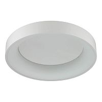 потолочный светодиодный светильник odeon light sole 4062/40cl в Армавире