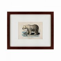 картина: white polar bear on an ice, 1830 в Армавире