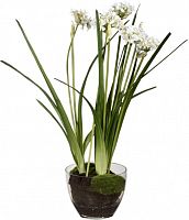 декор allium в Армавире