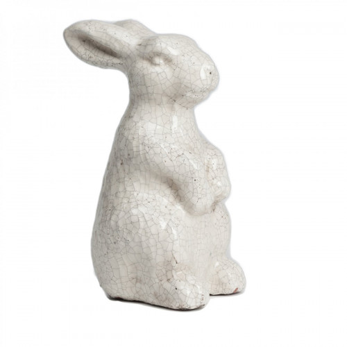 кролик декоративный rabbit в Армавире