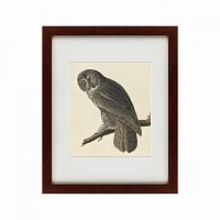 картина: great gray owl, 1834 в Армавире
