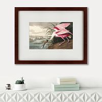 картина: roseate spoonbill, 1827 в Армавире