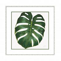 постер monstera зеленый в Армавире