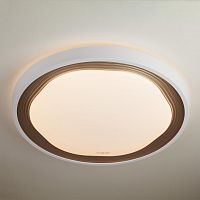 потолочный светодиодный светильник eurosvet range 40006/1 led кофе в Армавире