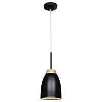 подвесной светильник loft it restor loft4402a-bl в Армавире