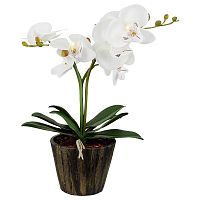 настольная лампа globo flowerpower 28002 в Армавире