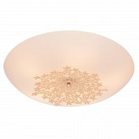 потолочный светильник silver light verbena 835.50.5 в Армавире