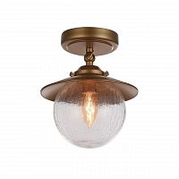потолочный светильник favourite farola 2027-1u в Армавире