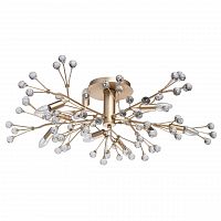 потолочная люстра mw-light адриатика 280011810 в Армавире