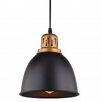 подвесной светильник arte lamp eurica a4245sp-1bk в Армавире