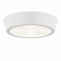 потолочный светодиодный светильник lightstar urbano 214904 в Армавире