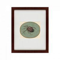 картина: spider, 1690 в Армавире