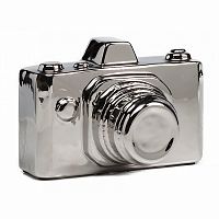 предмет декора camera серебряная в Армавире