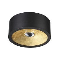потолочный светильник odeon light glasgow 3878/1cl в Армавире