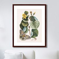 картина: beauty bloom №3, 1732г. в Армавире