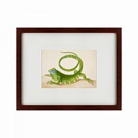 картина: green iguana, 1701 в Армавире