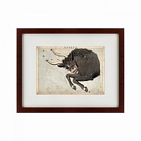 картина: signs of zodiac taurus, 1825 в Армавире