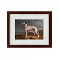 картина: portrait of a greyhound, 1744 в Армавире