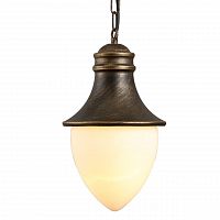 уличный подвесной светильник arte lamp vienna a1317so-1bn в Армавире