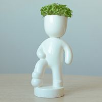 набор для выращивания eco футболист в Армавире