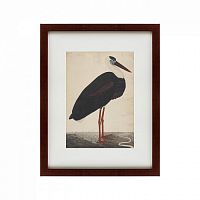 картина: black stork in a landscape, индия, 1780 в Армавире
