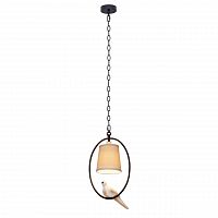 подвесной светильник loft it loft1029a-1 в Армавире