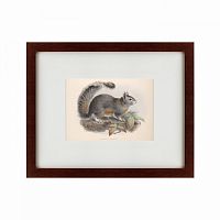 картина: the squirrel, 1879 в Армавире