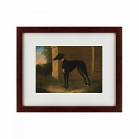 картина: portrait of a greyhound called pompon, 1746 в Армавире