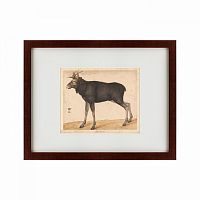 картина: moose, 1560 в Армавире