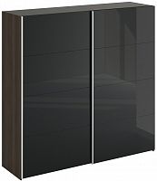 шкаф-купе slide 1700 черный в Армавире