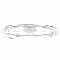 потолочный светильник lightstar ovale 784246 в Армавире