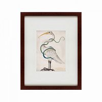 картина: heron encircled by a snake, 1700 в Армавире