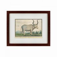 картина: cape ox, 1778 в Армавире