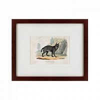 картина: a caracal or lynx, 1830 в Армавире