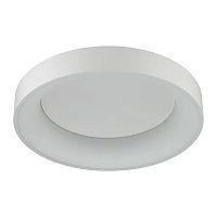 потолочный светодиодный светильник odeon light sole 4062/50cl в Армавире